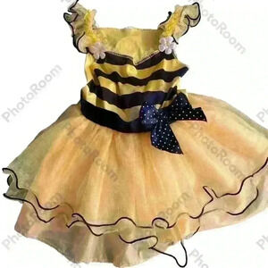 Beautiful dress/costume